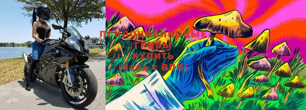 меф Богородицк