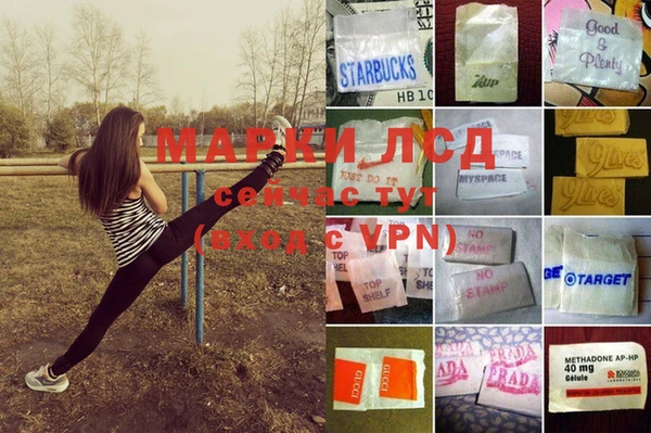 дурь Богданович