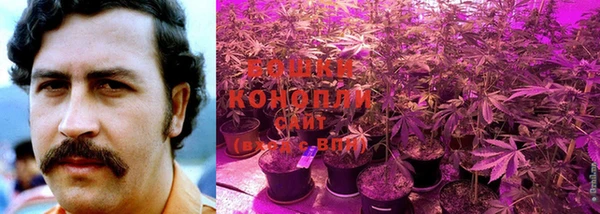 дурь Богданович