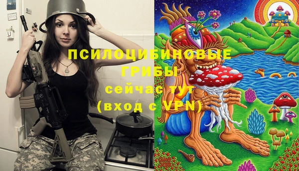 дурь Богданович