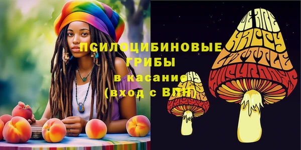 дурь Богданович