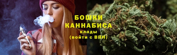 дурь Богданович
